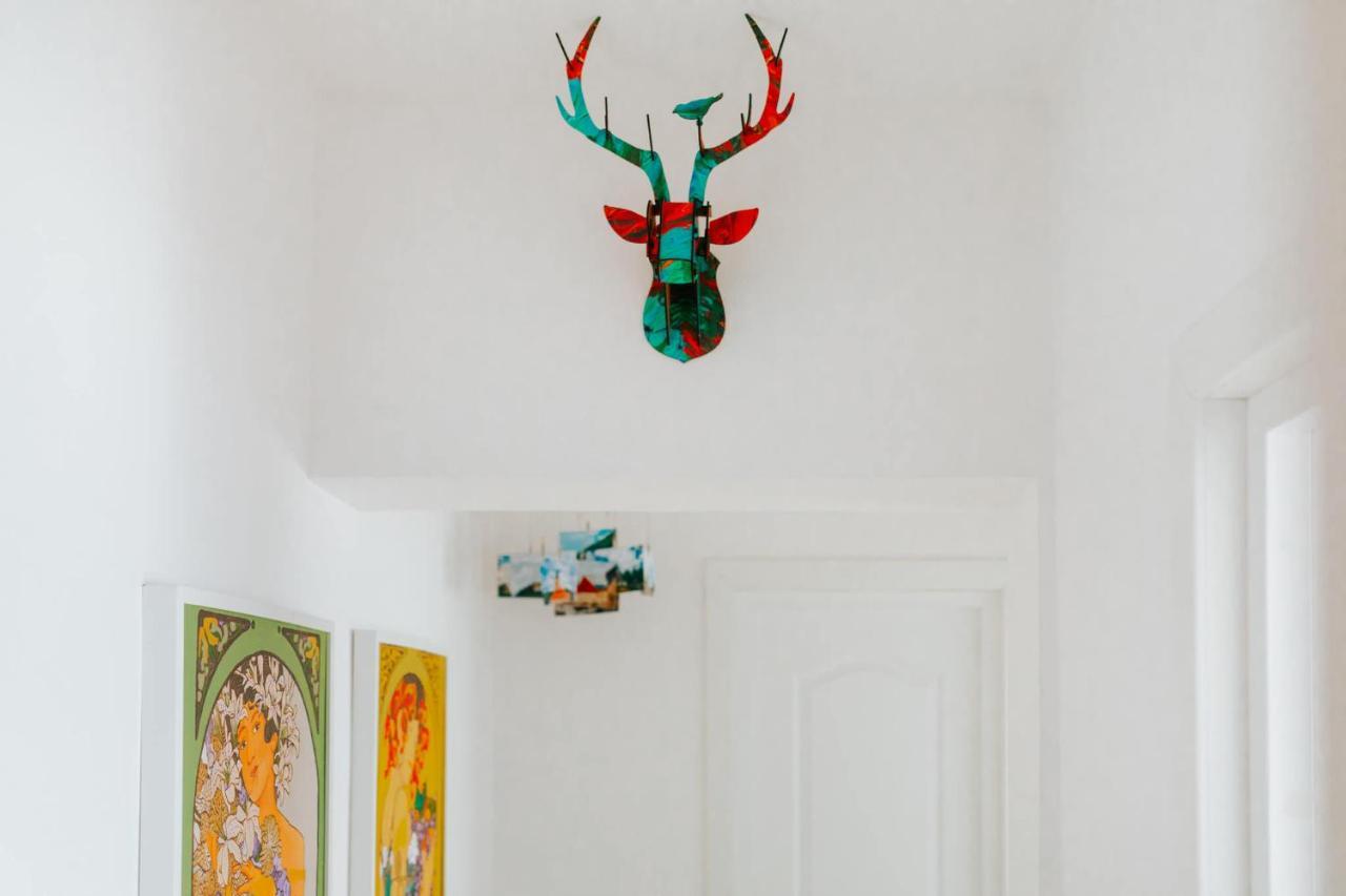 Old Citadel Hill Apartment 브라쇼브 외부 사진