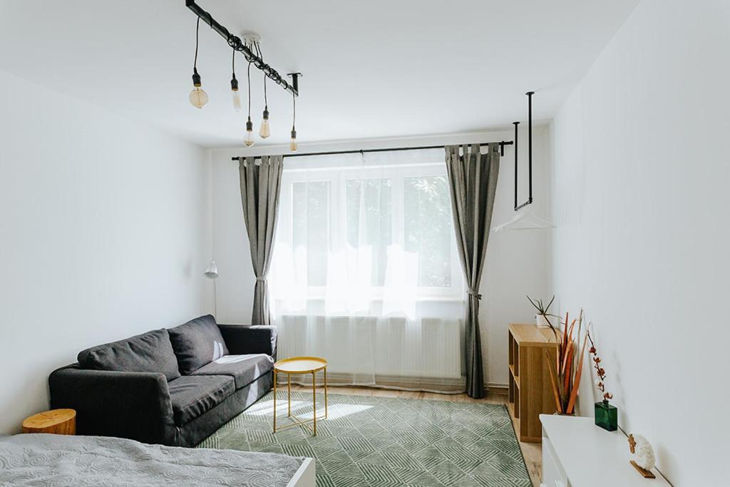 Old Citadel Hill Apartment 브라쇼브 외부 사진